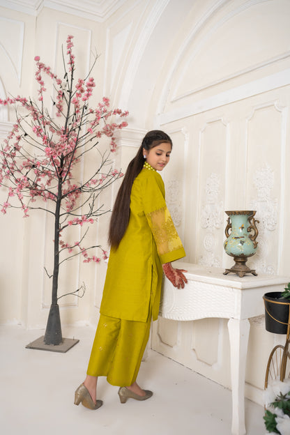 Amora 2 Pcs Stitched Embroidered Suit AS-1554