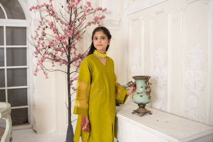 Amora 2 Pcs Stitched Embroidered Suit AS-1554