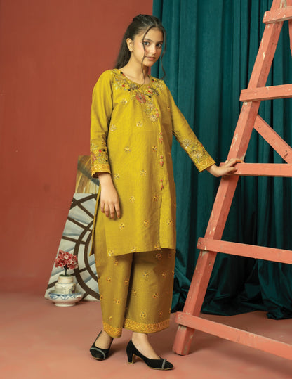 Amora 2 Pcs Stitched Embroidered Suit AS-1442